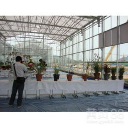 【花卉市場溫室大棚工程建造商造價行情走勢】- 