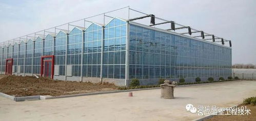 玻璃溫室大棚建造流程