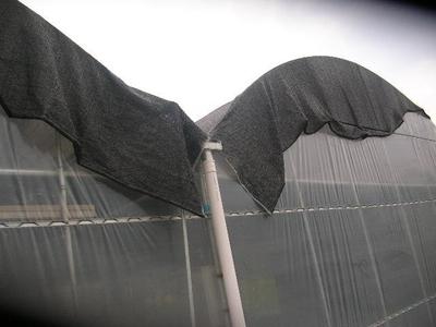 供應天津建筑工地防塵網//綠色遮陽網_環保服務_環境服務_其它環境服務_產品庫_中國環保在線