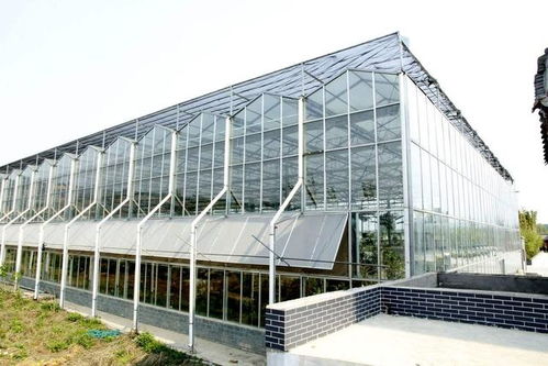 玻璃溫室大棚建設一畝地造價多少錢