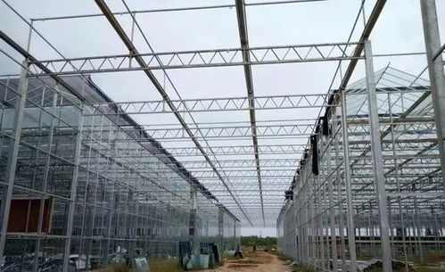 智能溫室建造 溫室大棚施工建造都有哪些步驟