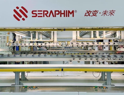 賽拉弗10gw光伏組件生產(chǎn)基地簽約及開工儀式在安徽金寨舉行